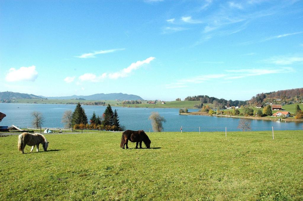 B&B Ferienhof Am See Willerzell Luaran gambar